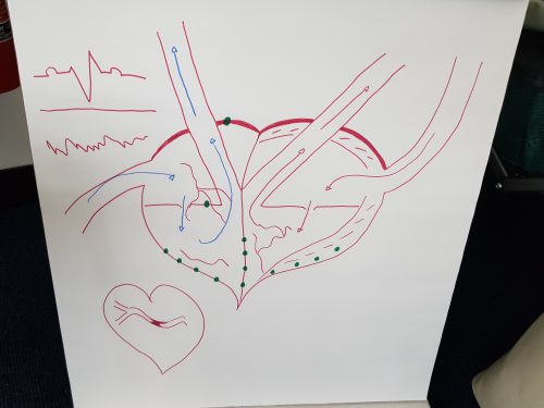 6 tips from our First Aid training day Thanks to our recent training day with MDD First Aid, every single member of staff at S2F is First Aid certified!