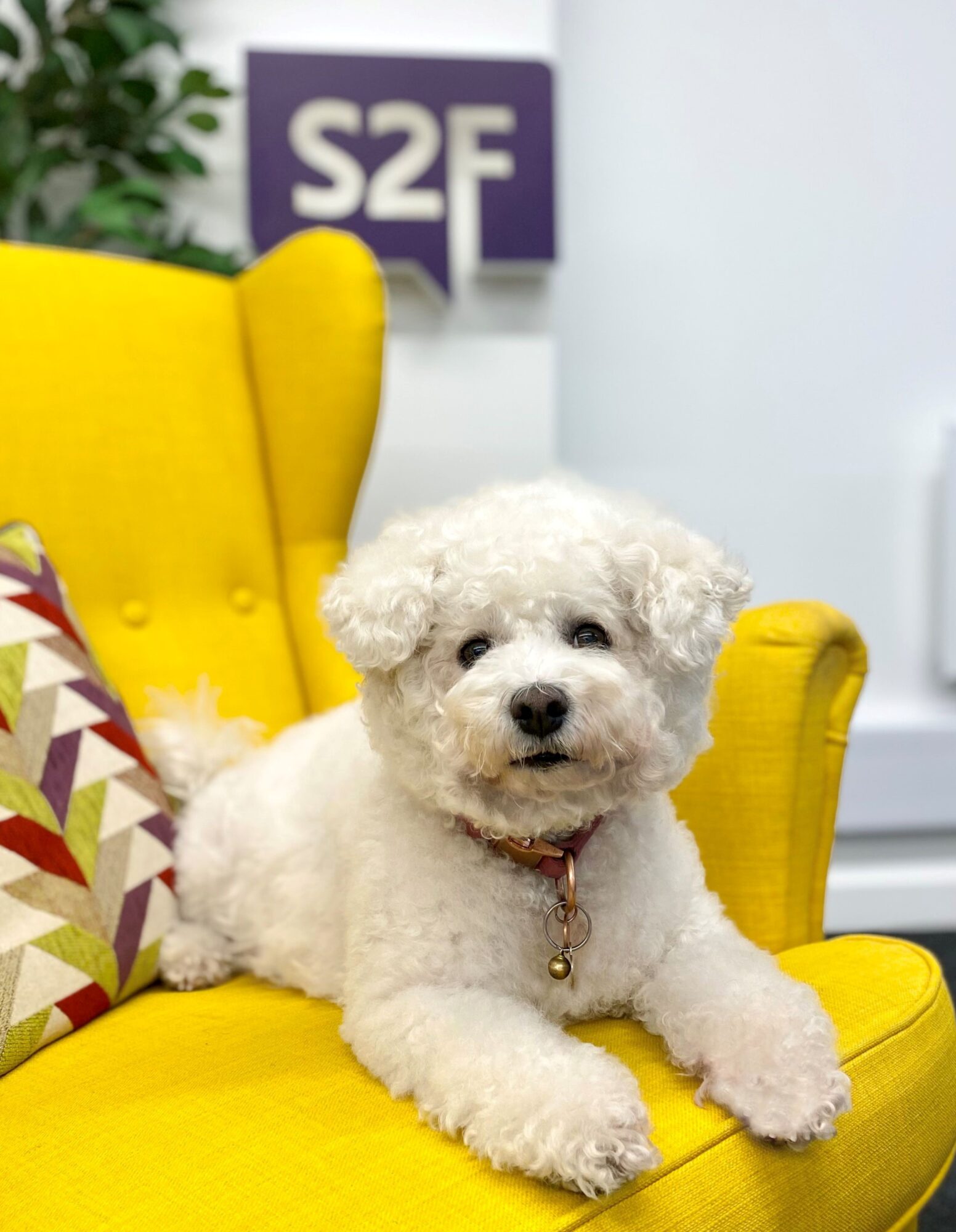 Wrapping up the year with style As 2024 draws to a close, it's time to take stock of what has been an incredible year at S2F Marketing.